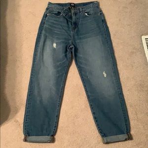Urban Outfitters Mom High-Rise Jeans (Blue)